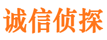 山东侦探公司